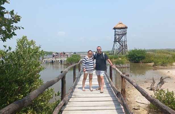 Tours along the beaches of Cozumel Mexico by buggy all inclusive