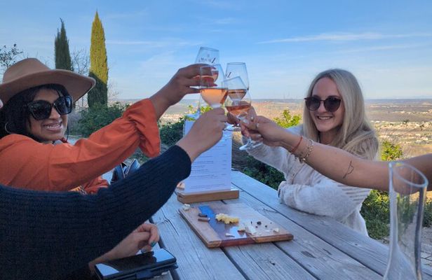 Beaujolais Day Guided Tour - Winery Tours and Tastings