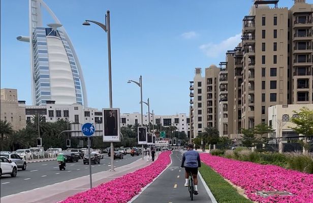 Dubai Electric Bicycle Tour