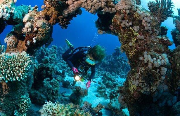 3 Fun dives in Phi Phi islands for Certified Divers