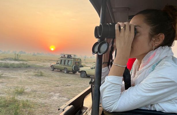 9 Days Uganda Wildlife Safaris, Gorilla Trekking & Hiking