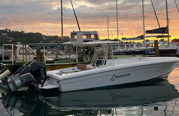 Private St Lucia Speed Boat Charter