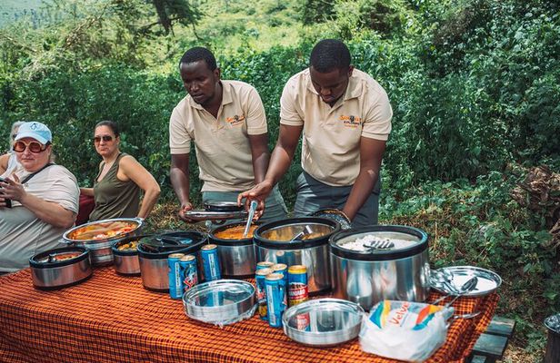 4-Day The Short of Tanzania Safari