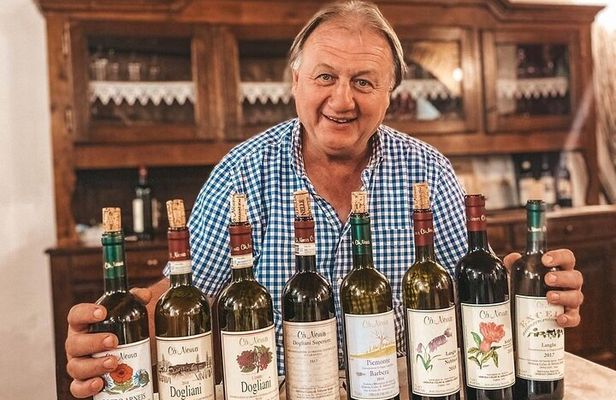 Tasting of 7 wines in the Langhe and visit to the cellar