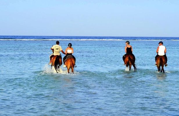 Horseback riding in Marsa Alam and Port Ghalib