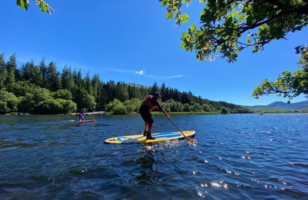 Half day Paddleboarding exploration on the Dart