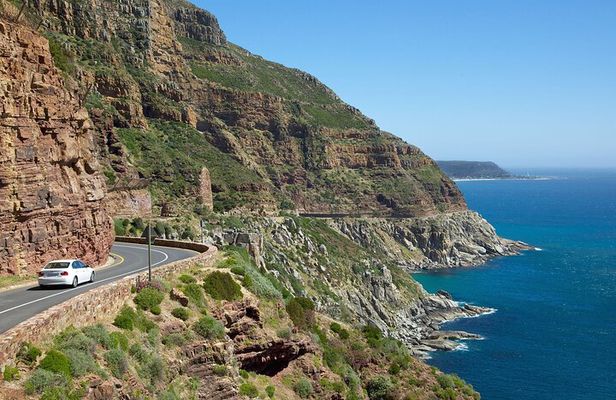 Cape Peninsula Full Day Private Tour
