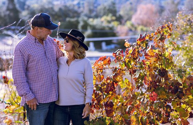 Private All-Inclusive Full-Day 4 Winery Tour in Temecula Valley