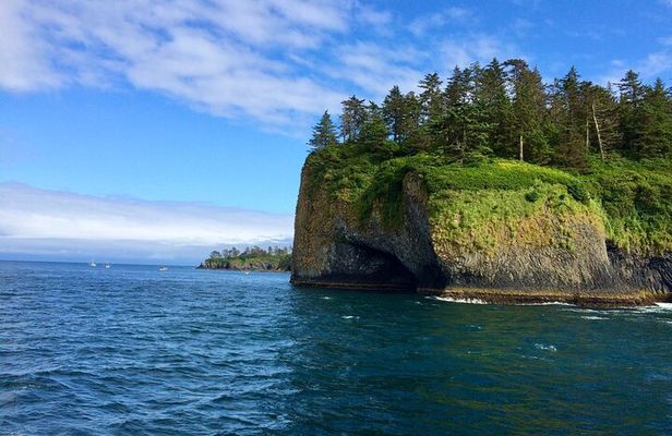 Private Charter Scenic Wildlife Excursion for Cruise Passengers