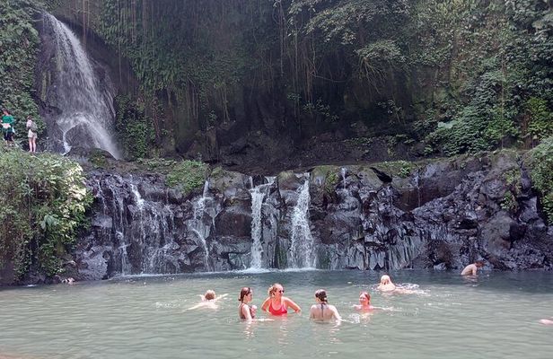 Best of Ubud Scenic Tamansari Waterfall Private Guided Tour