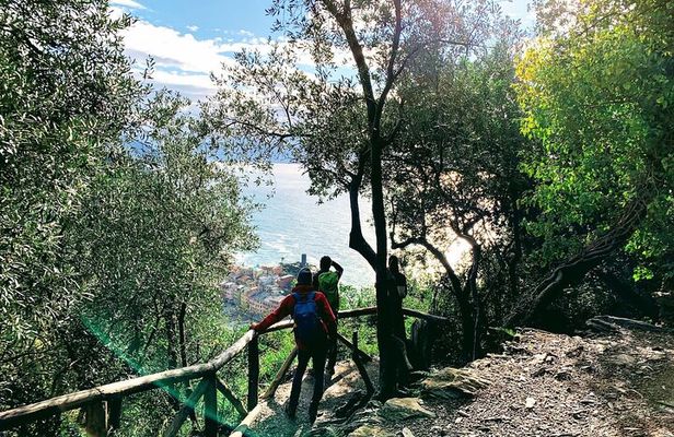 Eco Hiking and Wine Tasting in Cinque Terre