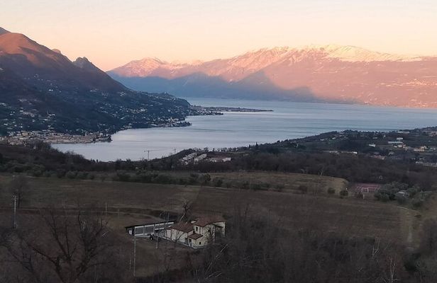 Tasting of 4 Valtenesi wines with local food in Salò