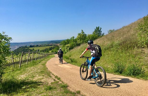 E-Bike Tour with Wine Tasting from Salò
