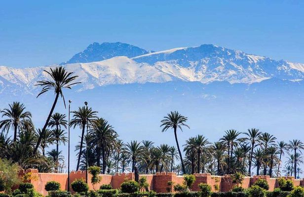 Marrakech & The Farm Experience!