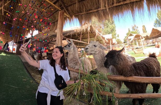Sacred Valley and Machu Picchu 2 Day Tour with Hotel