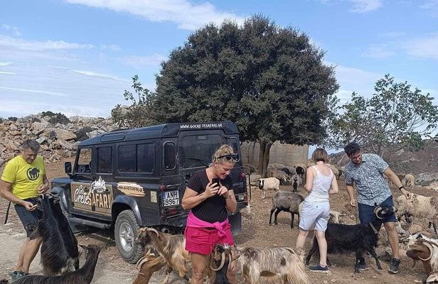 The Roads Of Wine Olive Oil And Cretan Tradition in Malia