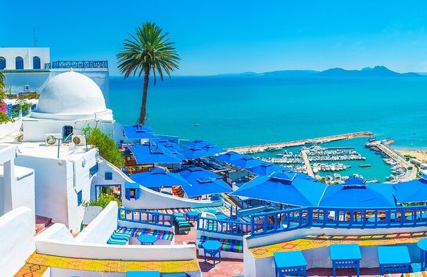 Bardo Museum with Medina, Carthage and Sidi Bou Private Tour