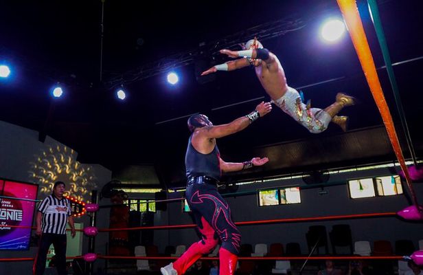 Ticket to Wrestling Show without lining up