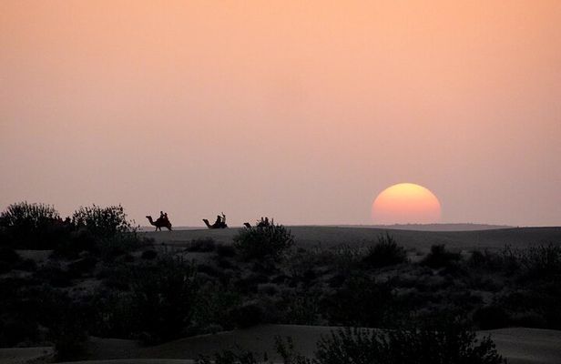 2 Days 2 Night Camel Safari