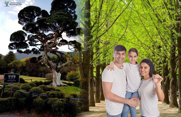 Nami Island& Petite France& Garden of Morning Calm& Italian Village One-Day Tour