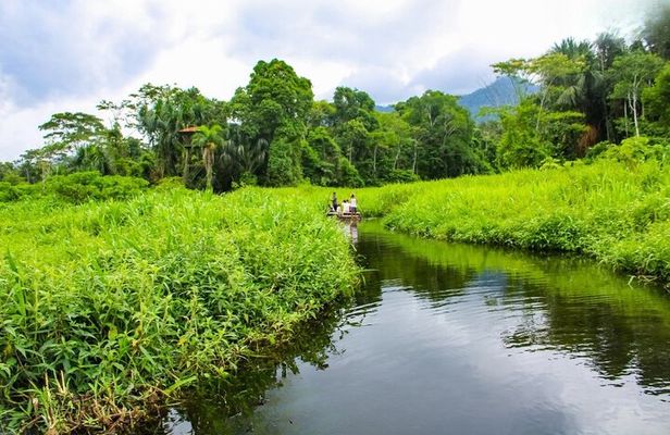 3 Day Manu Amazon Rainforest (Private Tour)
