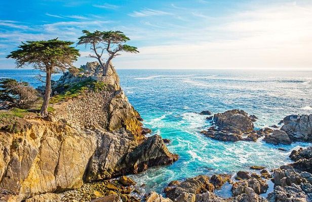 17 Mile and Pebble Beach Tour from Los Angeles to San Francisco