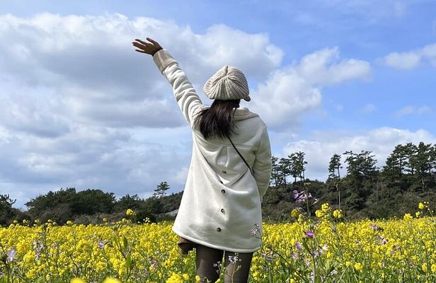 Jeju Island SouthEast Unesco Mt.Halla One day Bus Tour