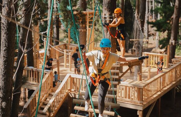 Guided Tree Ropes Course Experience in Majura Pines