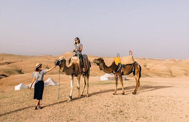 Agadir Camel Ride Experience with BBQ include