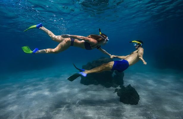 Turtle Town Snorkel With Photo and Video Turtle Guarantee