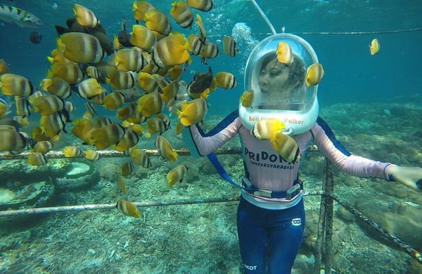 30 Minutes Ocean Walking in Nusa Dua, Bali