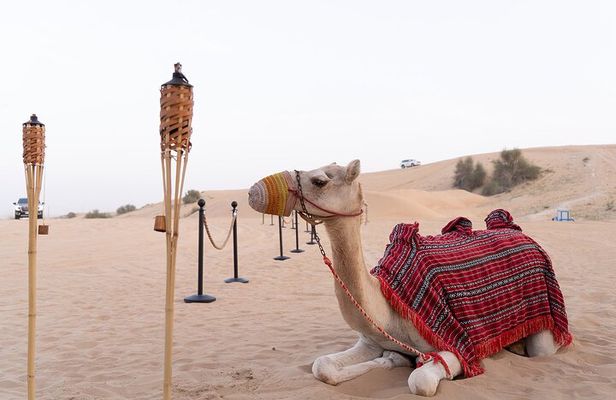 12 mins Helicopter Tour & Desert Safari in Dubai