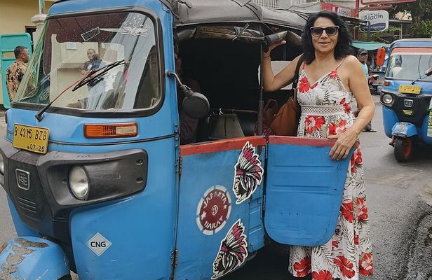 Jakarta Half-Day Sightseeing Tour To Modern City and Old Town