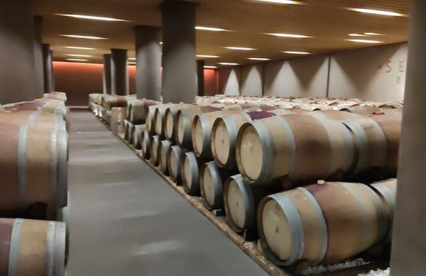 Private Tour in Nafplio with Wine Tasting Tour in Nemea.