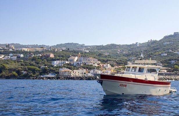 Shared capri tour ,swimming and visit of many caves