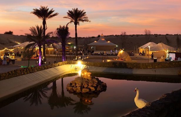 Dubai Big Bus Hop On, Hop Off Tour and Desert Safari