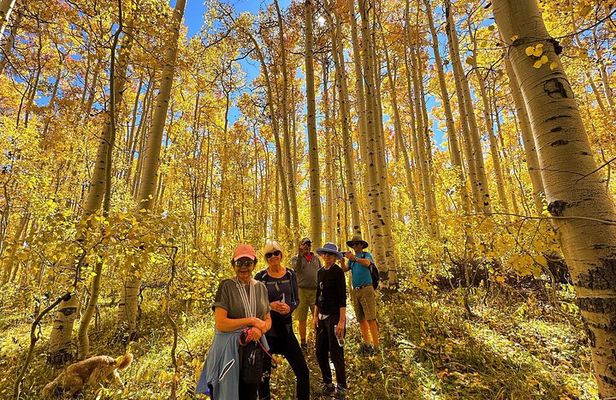 Privately Guided Scenic Mountain Hike