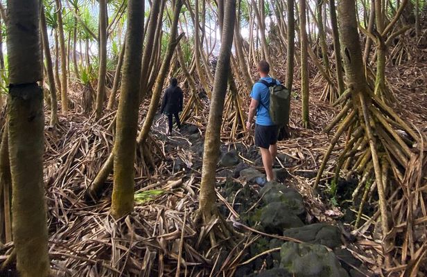 Secret Tide Pool Hike - Jungle & Coast - Private