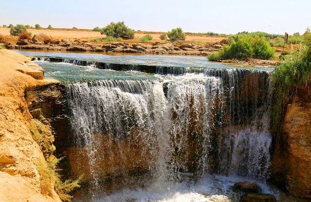 Private Tour to Fayoum Whales Valley & Wadi El Rayan from Cairo