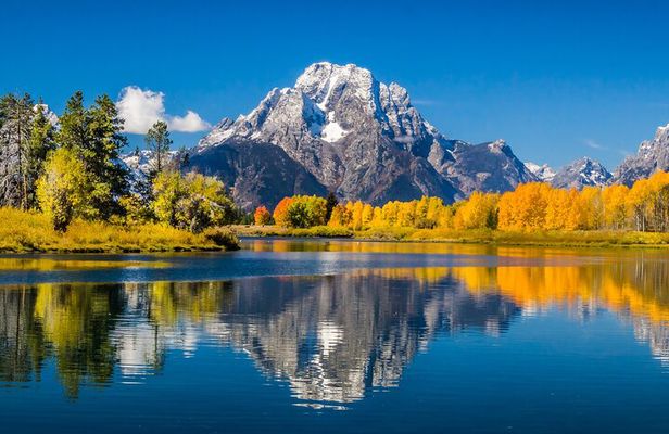 Grand Teton and its Wildlife: Private Guided Tour