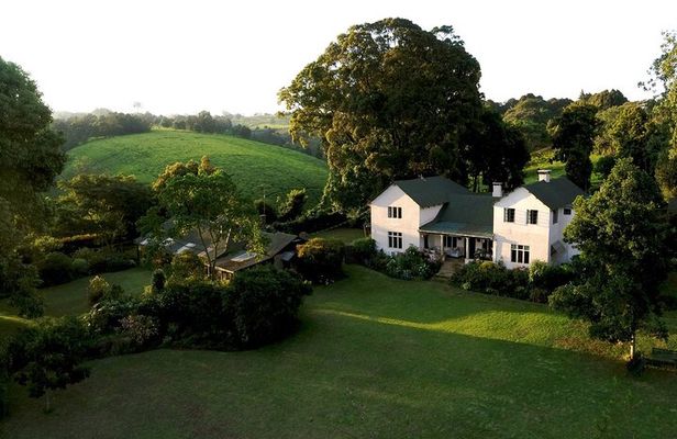 Day tour to Kiambethu Tea farm in Limuru from Nairobi
