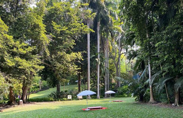 Private Experience in the Botanical Garden of Carthagena