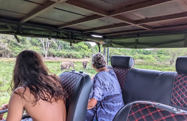 Yala National Park - Full Day Safari (04:30 am - 06:00 pm)
