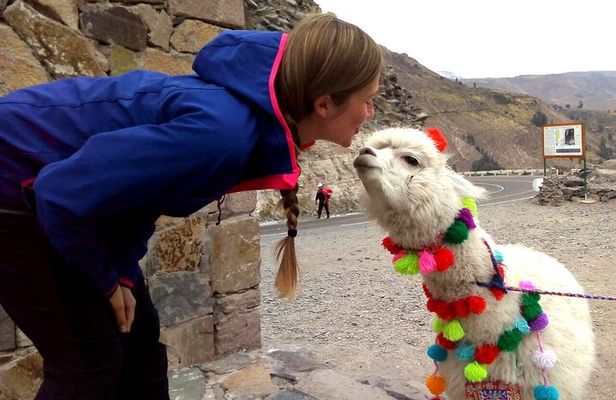 Colca Canyon Plus