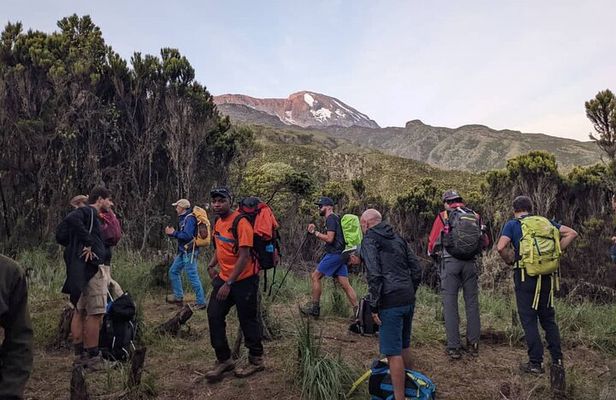 Best 1# day Kilimanjaro trek Machame with Kilinge Adventure 