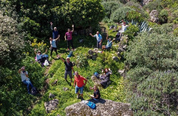 Wanderungen im grünen Gran Canaria
