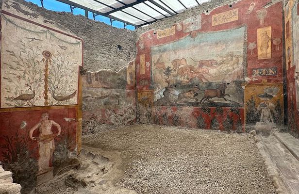 Pompeii and Vesuvius Tour from Positano Small Group