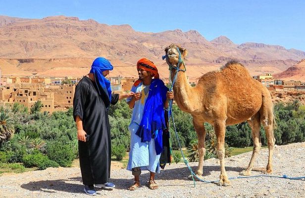 Fes Private full Day Trip from Tangier & back with Transport