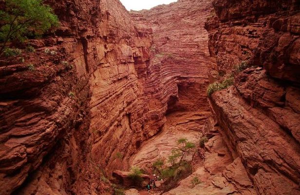 Guided Tour of Cafayate Cachi Salinas Grandes and Hornocal