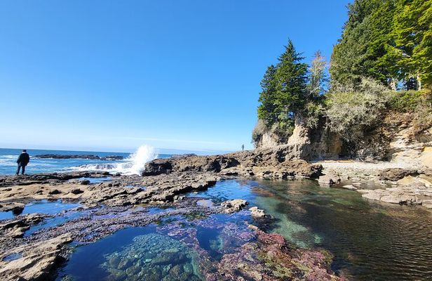 2 Day Private Adventure & Ocean Cabin on Vancouver Island